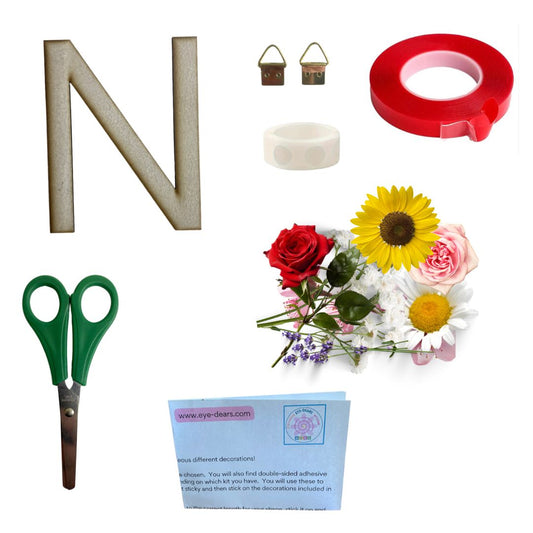 Alphabet - Letter N - Choose Your Decorations