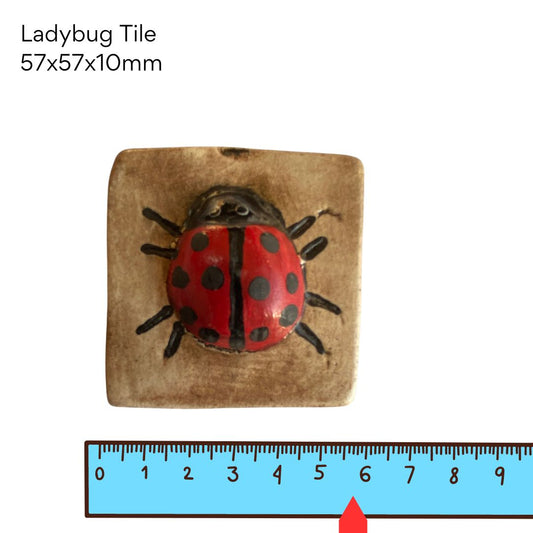 Ladybug Pottery Tile (57x57x10mm)