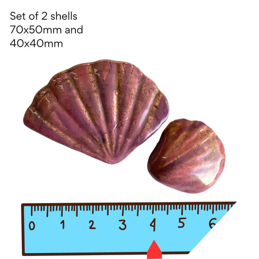 Shells set of 2 - pottery (70x50mm and 40x40mm)